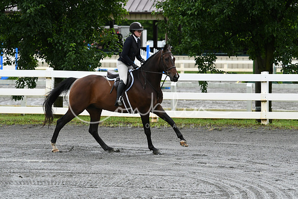 HSM_3493