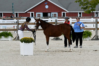 HSM_5367