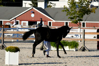 HSM_5575
