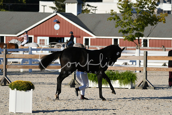 HSM_5575