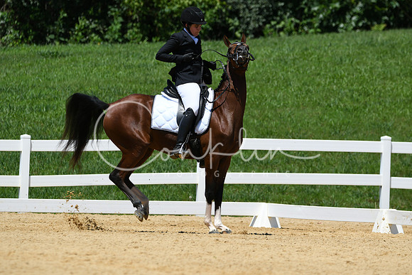 HSM_1514
