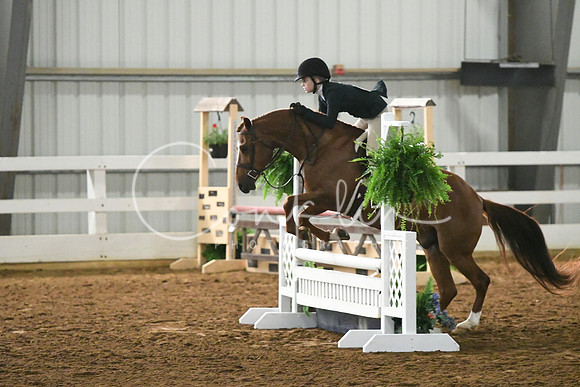 HSM_4282