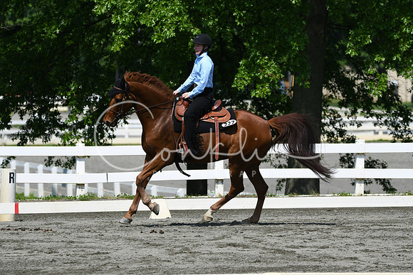 HSM_2746