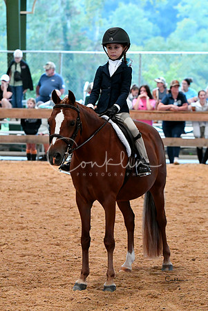 HSM_4166-1