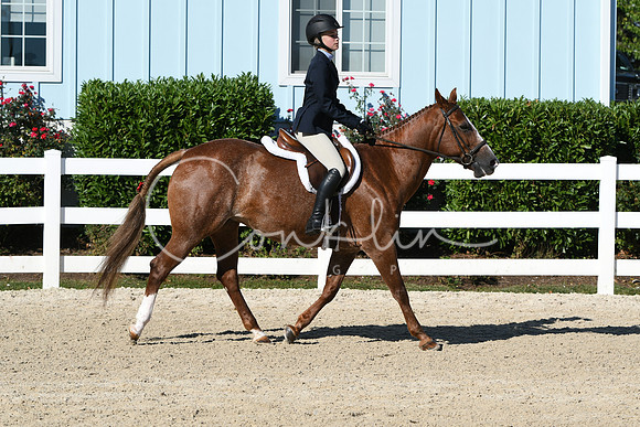 HSM_2311