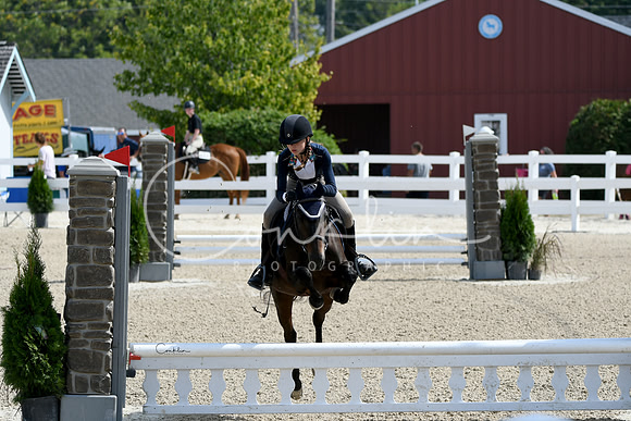 HSM_2028-1