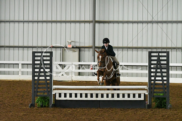 HSM_4337