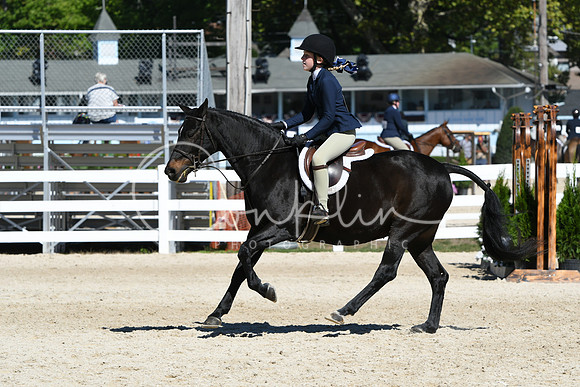 HSM_2697