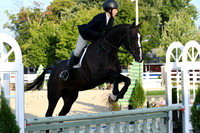 HSM_0208