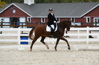 HSM_0354