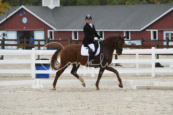 HSM_0354