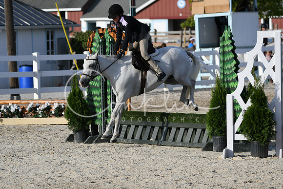 HSM_4472