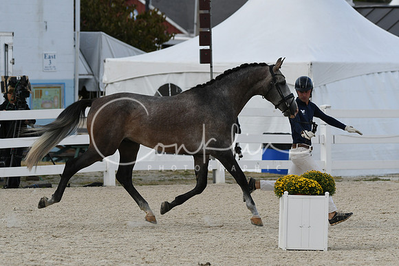 HSM_5382