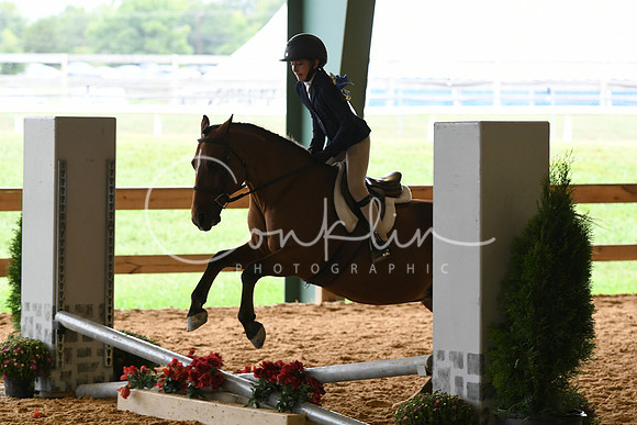 HSM_7296
