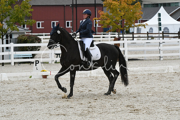 HSM_0667