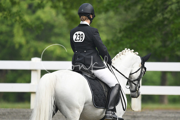 HSM_0944