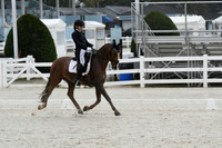 HSM_0928