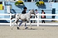 HSM_4443