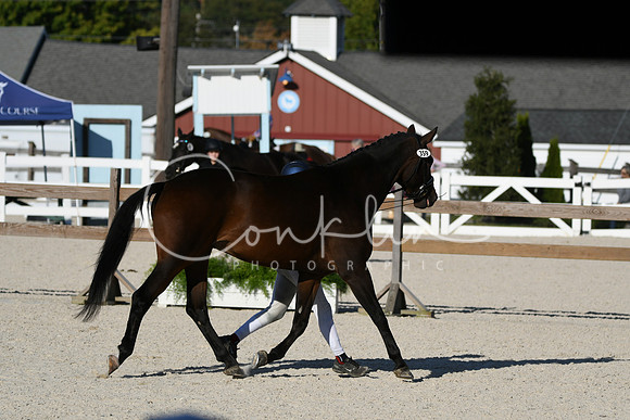 HSM_5438