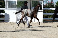 HSM_4383