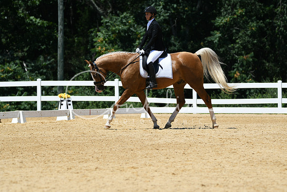 HSM_1413