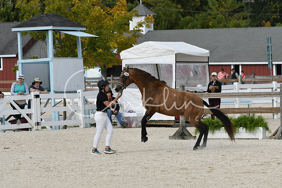 HSM_5421