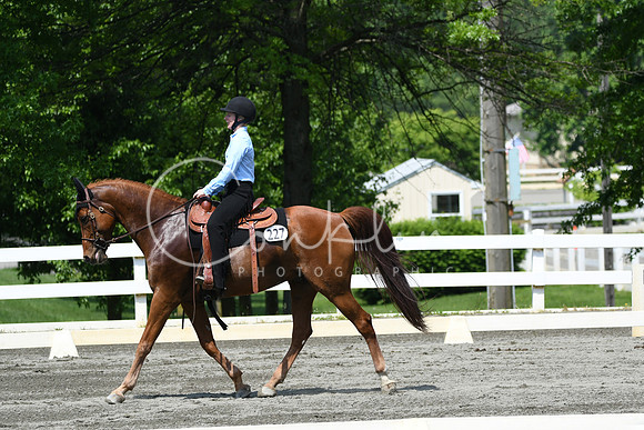HSM_2842