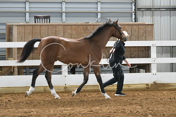 HSM_3649