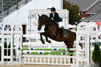 HSM_3363-1