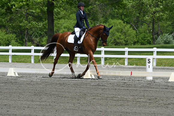 HSM_0270