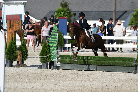 HSM_4395