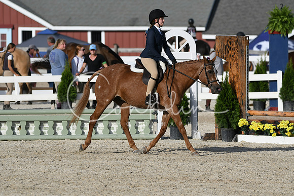 HSM_4373