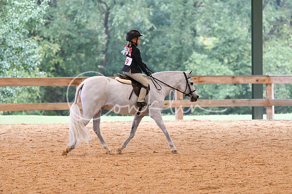 HSM_4269