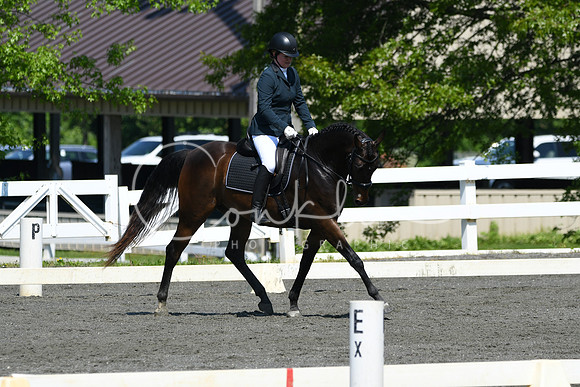 HSM_1197