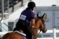 HSM_1173