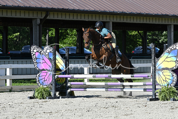 HSM_9208