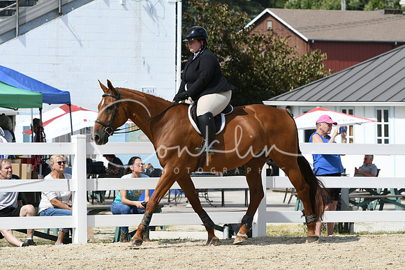 HSM_9303