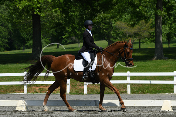 HSM_2291