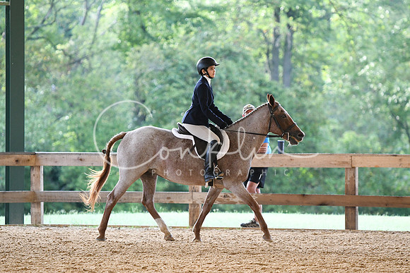 HSM_0662