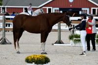 HSM_5507