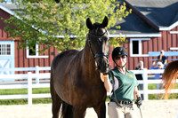 HSM_6221