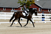 HSM_6805