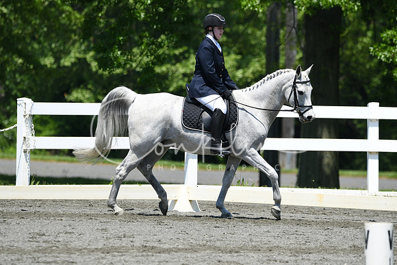 HSM_1513