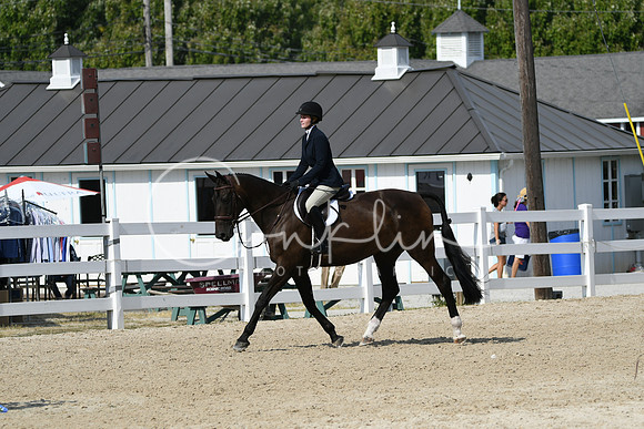 HSM_9623