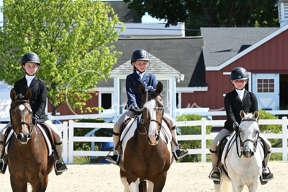HSM_3341