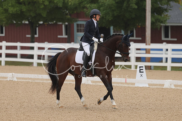 HLK_0349