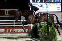 HSM_0651