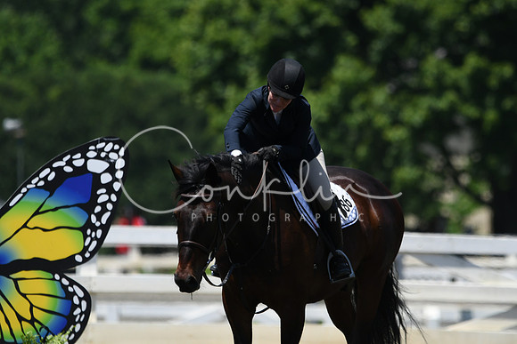 HSM_3179