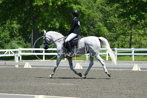 HSM_1734