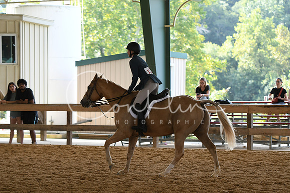 HSM_1105